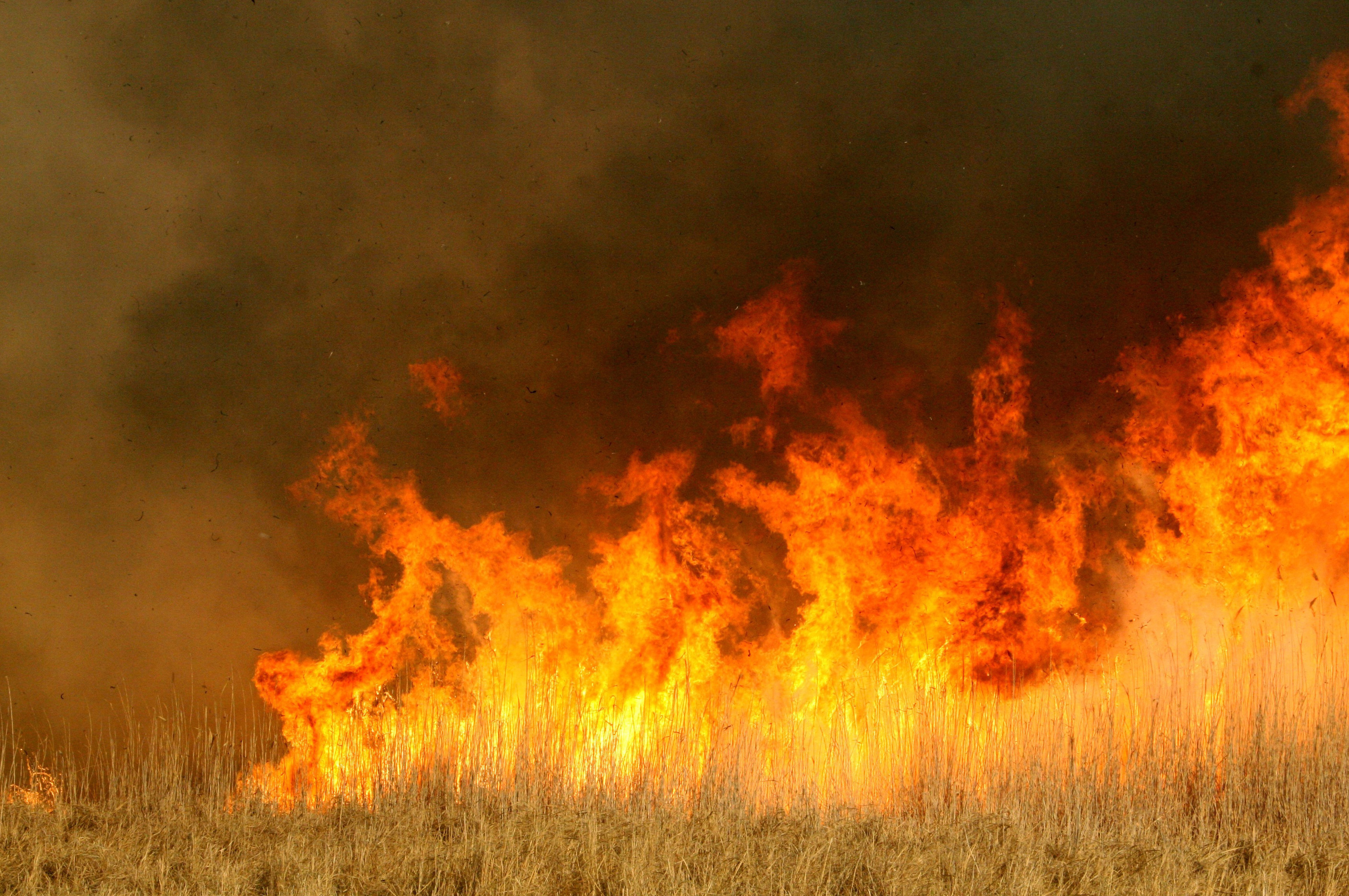 Жуткий танец огня рамкаРусанов Г М