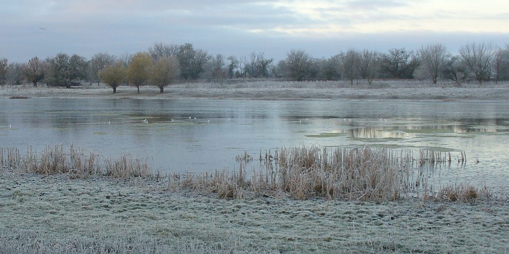 первый-заморозок