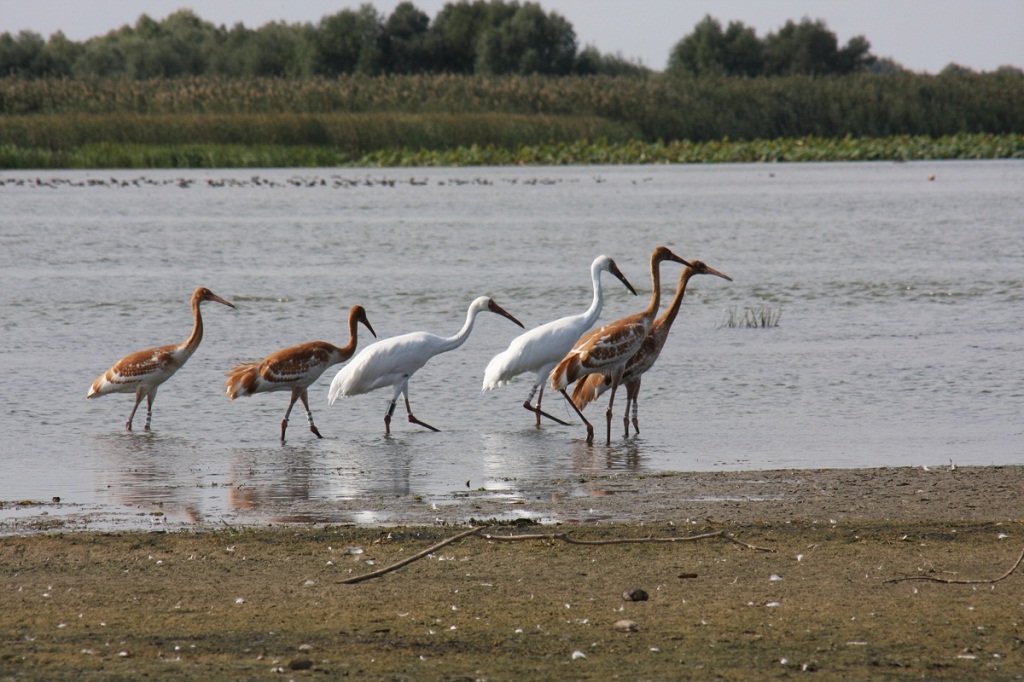 article_photo_565-14208508918