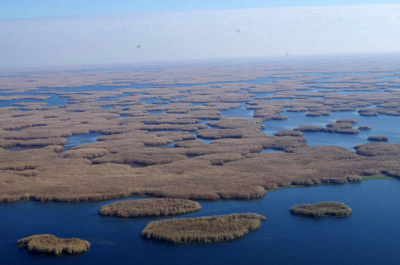 Дельта волги фото