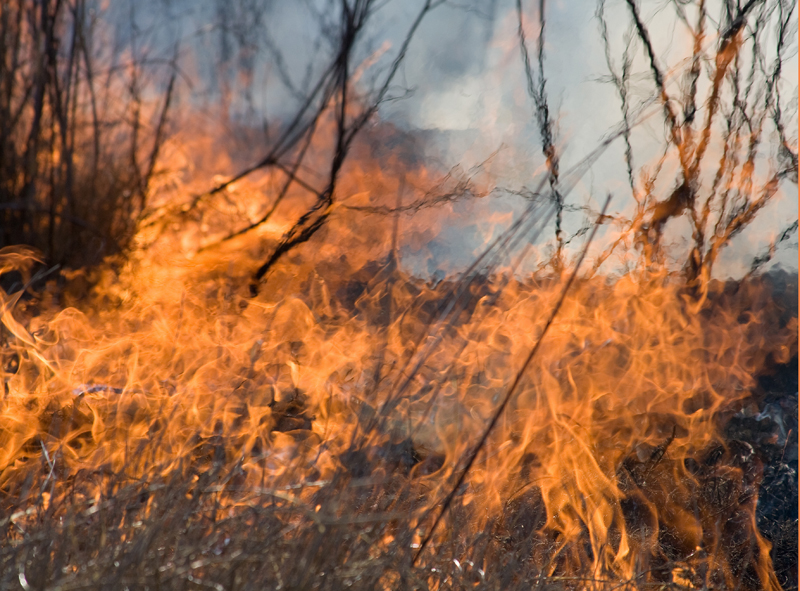 огненное плетение М.В.