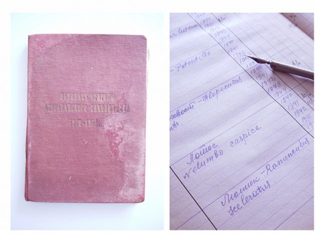 Летопись природы военных лет