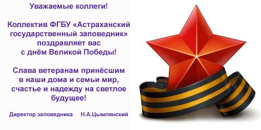 звезда победы