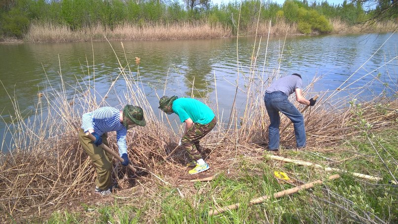 подготовка берега