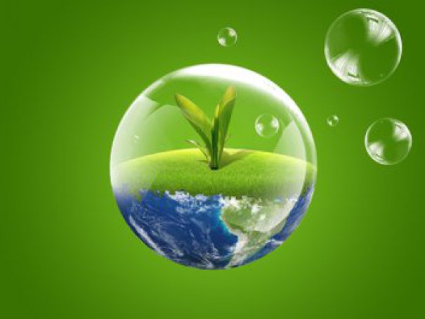 День эколога