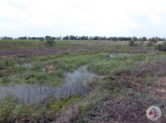 Полои за 1 к. 28 мая (3) копия