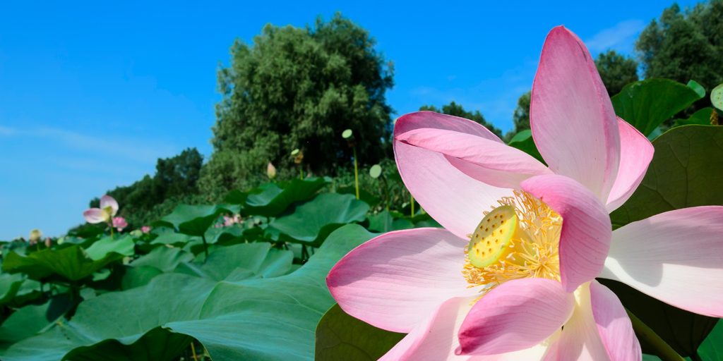 Фотография Алексея Беляева Arzamas.by