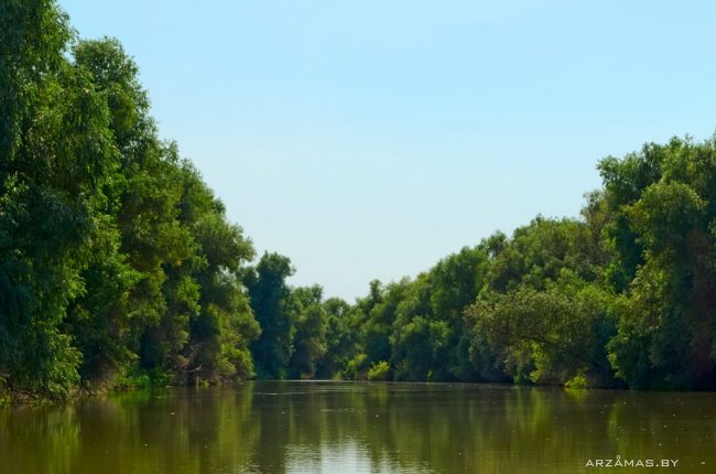 протока_Алексей Беляев