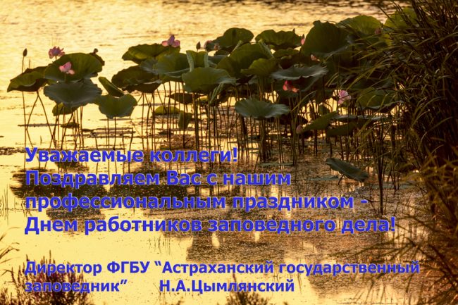 открытка 14 окт