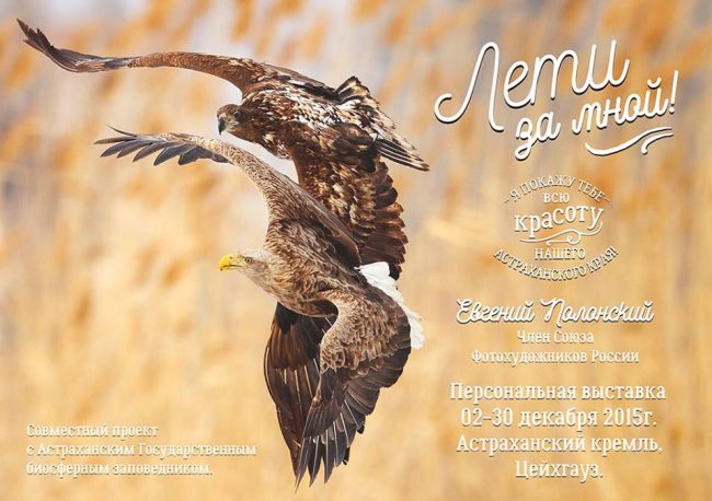 12243407_948324268536758_2843621378409738470_n