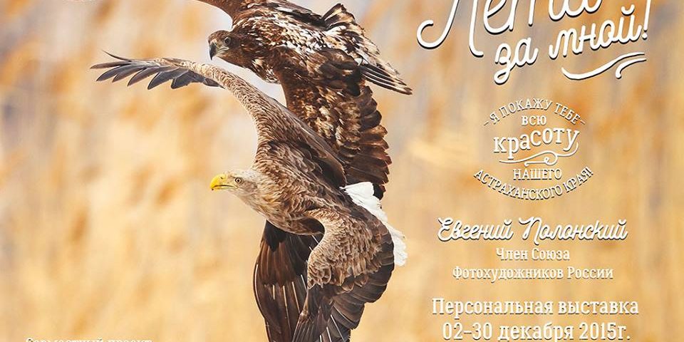 12243407_948324268536758_2843621378409738470_n