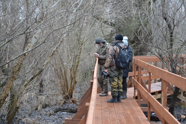 Экотропа Мещерякова (4)