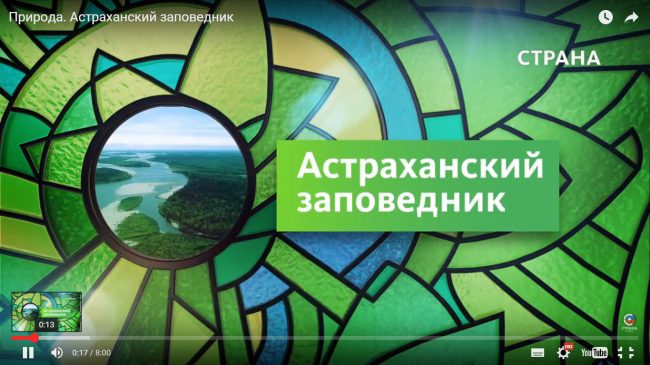 Природа Страна