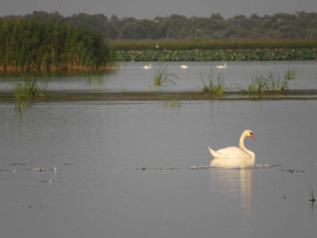 Фото00017 Литвинов