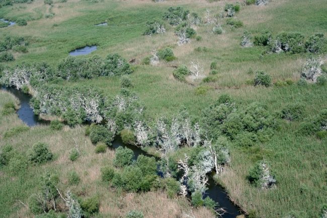 Кол Бол Бакланов – Створы