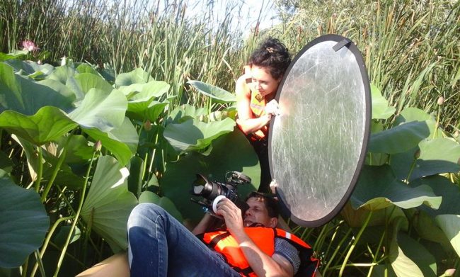 13606554_630073227151900_7398234734487133603_n