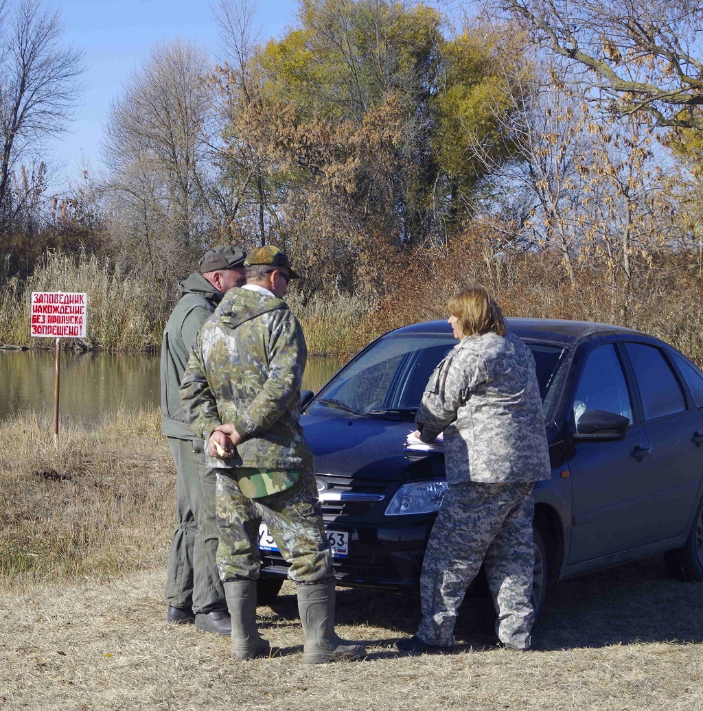 %d0%b4%d0%b0%d0%bc%d1%87%d0%b8%d0%ba-29-10-2015-%d0%be%d1%84%d0%be%d1%80%d0%bc%d0%bb%d0%b5%d0%bd%d0%b8%d0%b5-%d0%bd%d0%b0%d1%80%d1%83%d1%88%d0%b8%d1%82%d0%b5%d0%bb%d0%b5%d0%b9