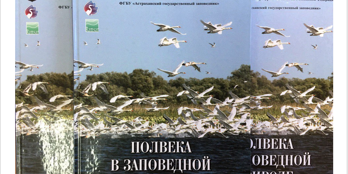 Безымянный