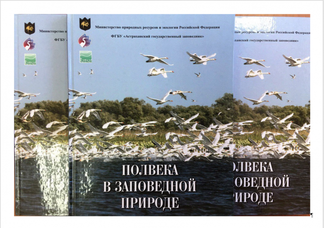 Безымянный