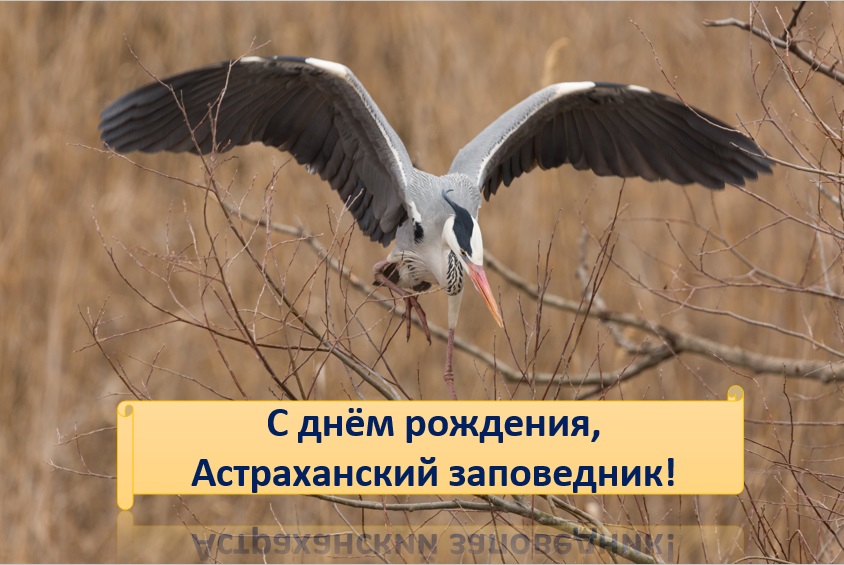 Безымянный