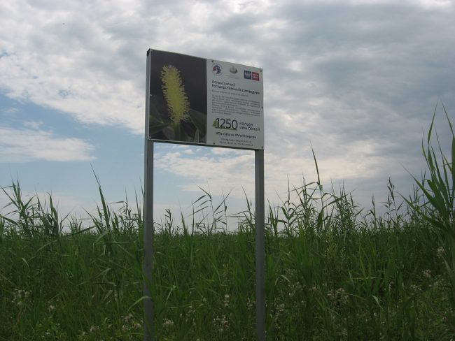 Дамчик. Посадка на пр.Левая Дубная