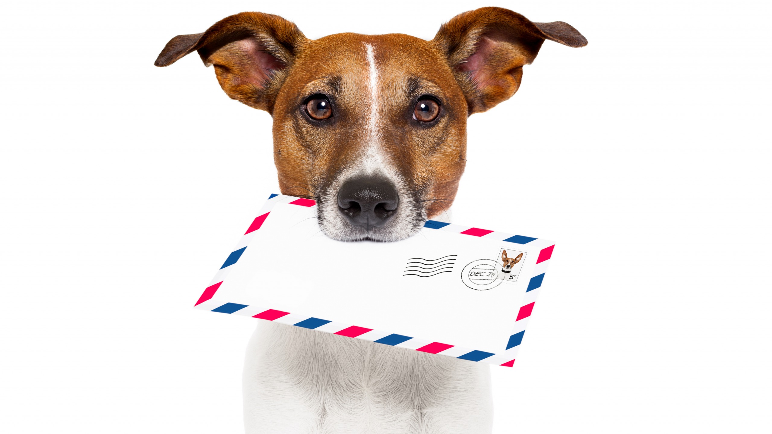 dzhek-rassel-terer-pismo