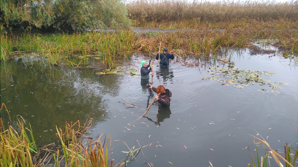 В процессе 1