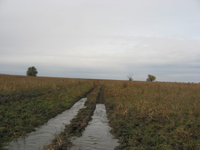 Нагнали волну на дорогу