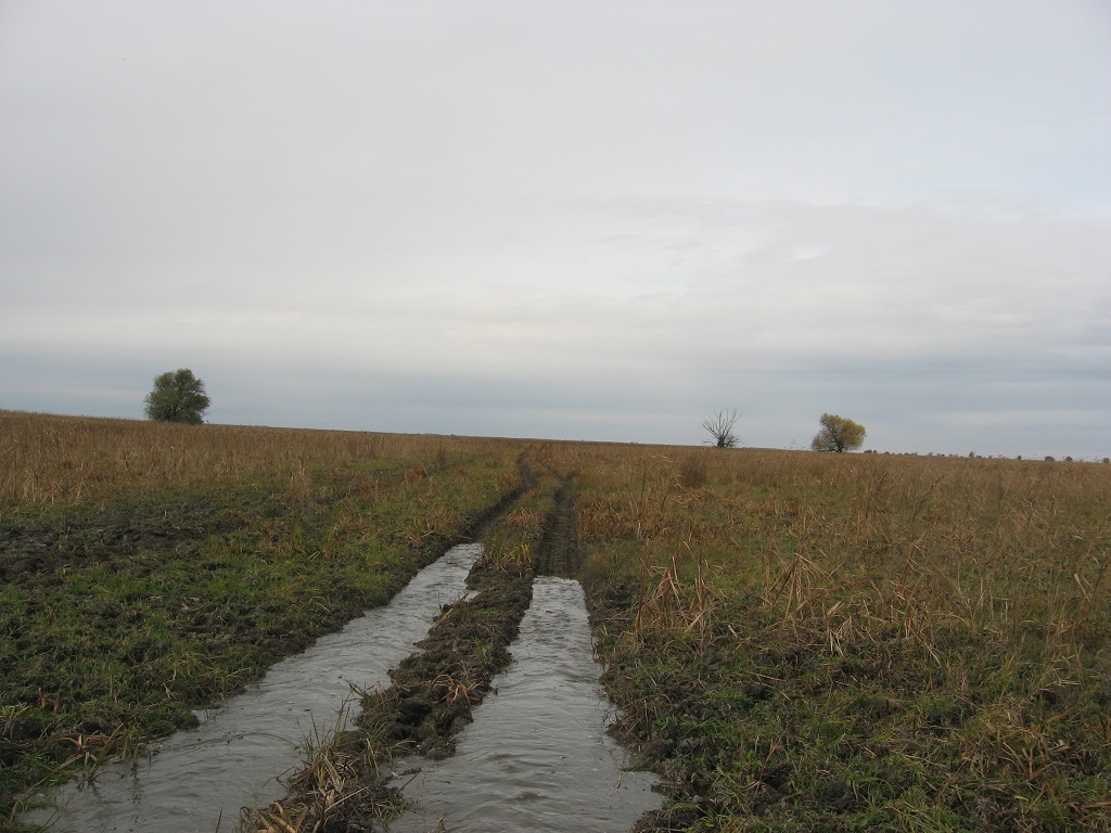 Нагнали волну на дорогу