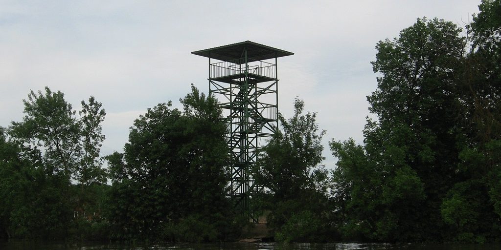 Пожарно-смотровая вышка так и называется Красивые дети