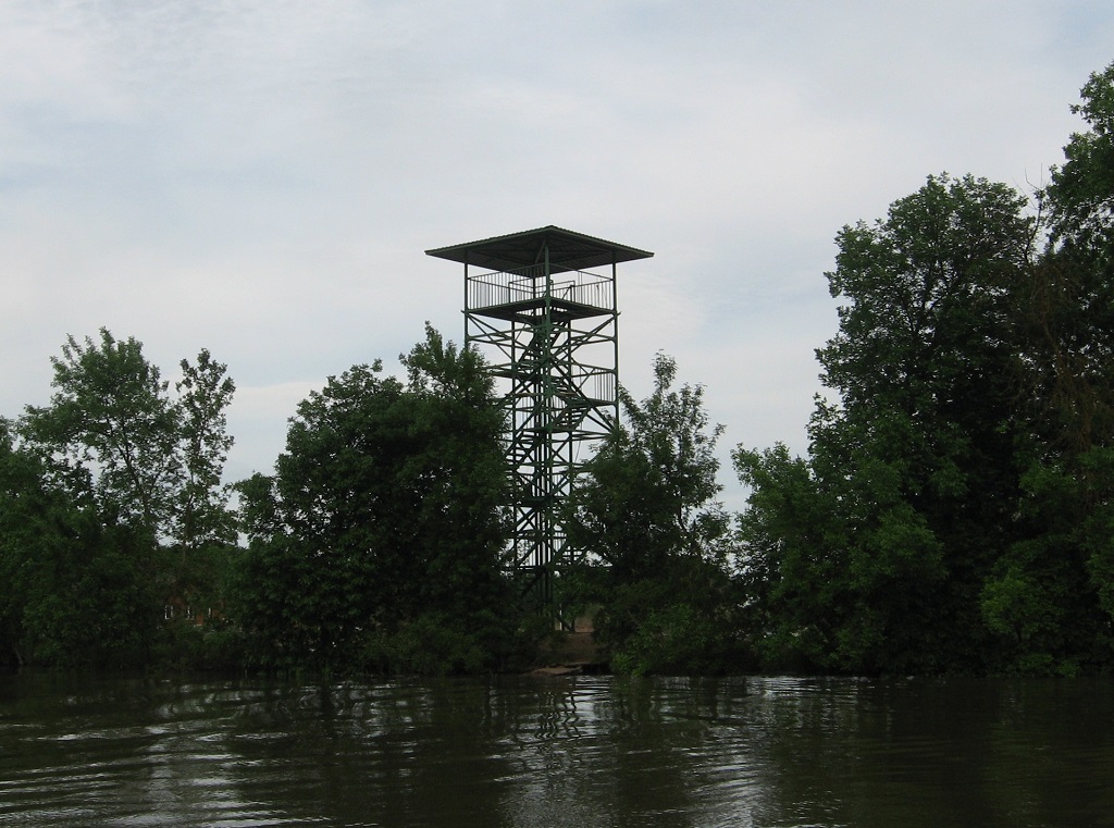 Пожарно-смотровая вышка так и называется Красивые дети