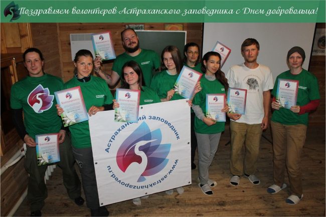 Безымянный-1