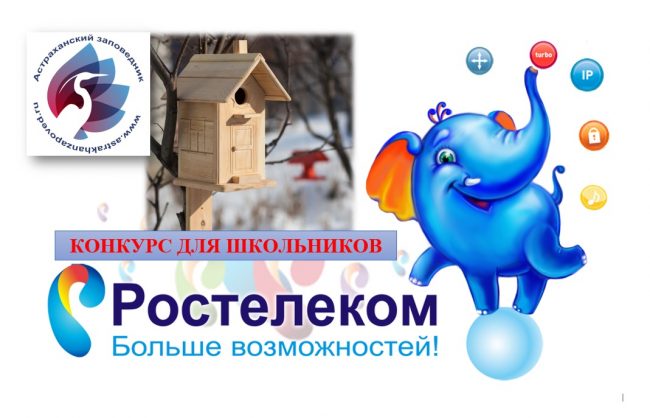 Безымянный