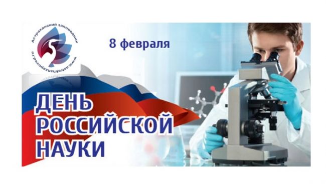 Безымянный