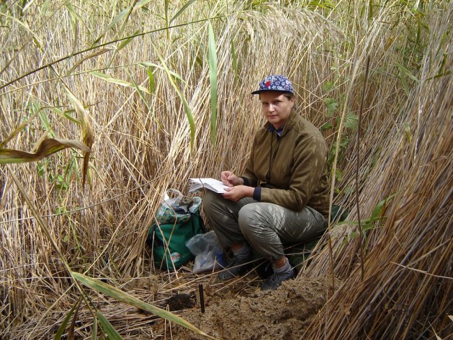 Почвовед Жужнева И.В. за работой на участке заповедника