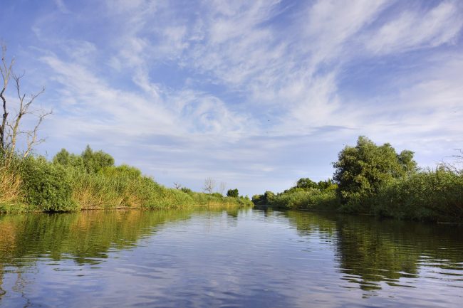 Путешествие по реке