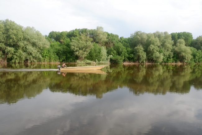 май 2018. Дамчик