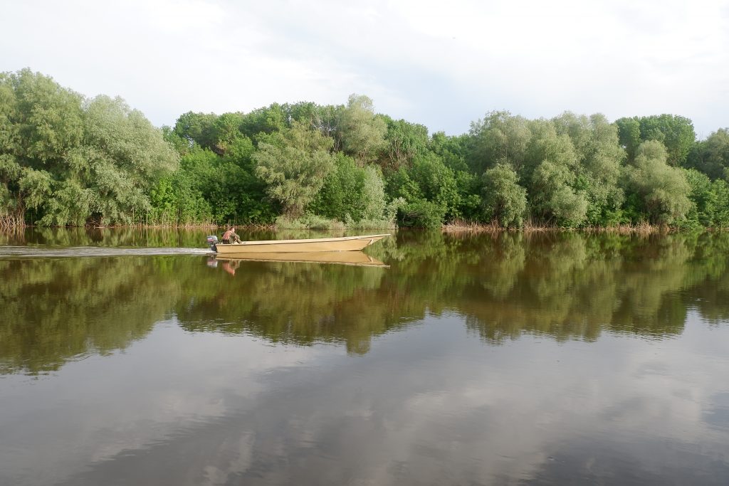 май 2018. Дамчик