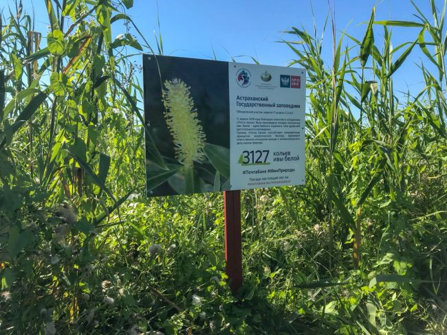 Товарный знак 2018 года на Обжоровском участке