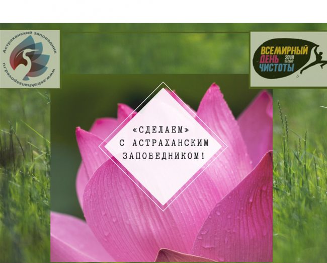 сделаемjpg копия