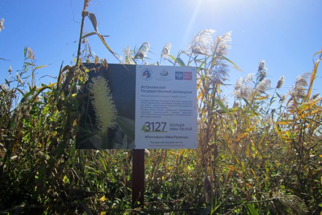 Товарный знак 2018 года