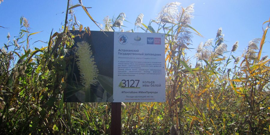 Товарный знак 2018 года