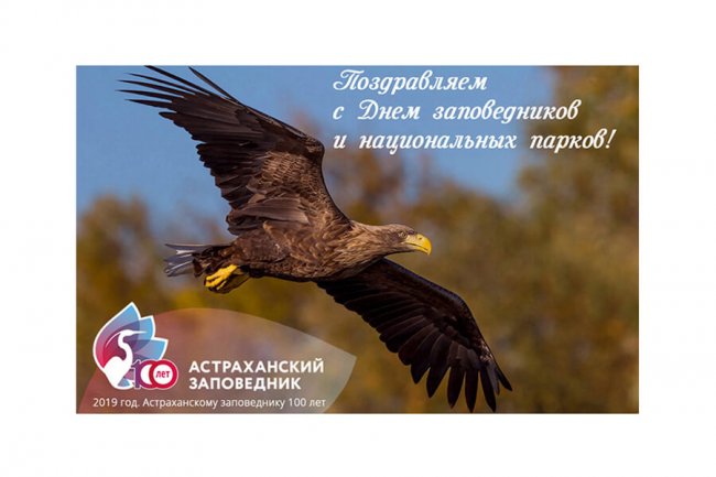 11 января поздравление