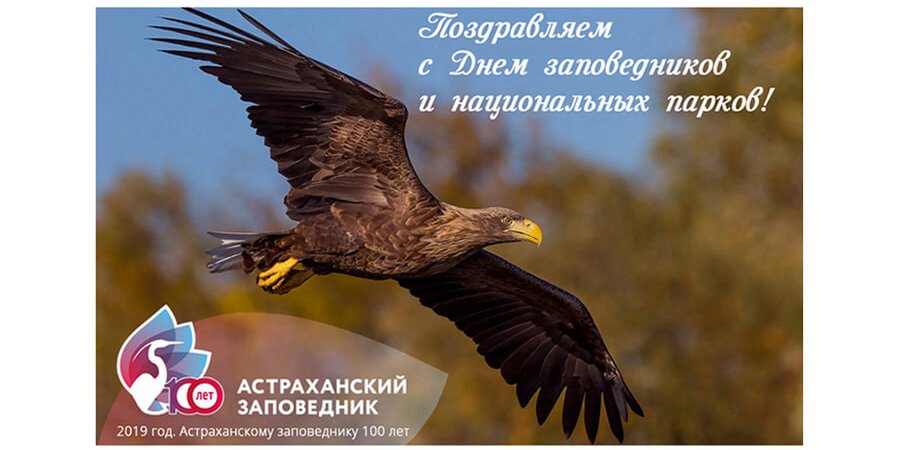 11 января поздравление