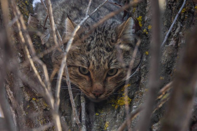 imgonline-com-ua-Resize-CDuigXLyPkD