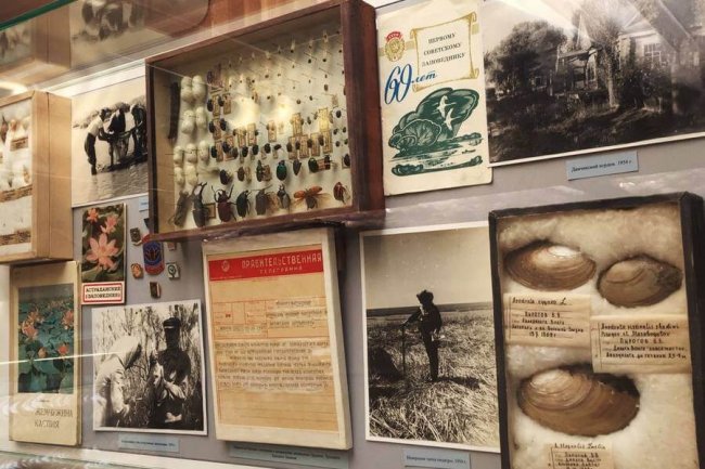 imgonline-com-ua-Resize-M26weP2XPALOq