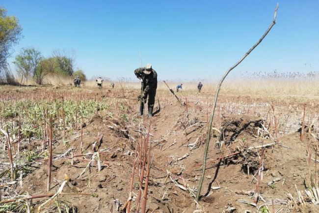 imgonline-com-ua-Resize-NcZ9lAMwlKCn0NR