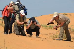 Туристы фотографируют пустынных обитателей