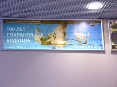 Зал ожидания в Астраханском аэропорту