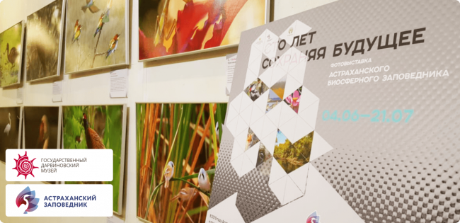 Выставка в Музее Дарвина